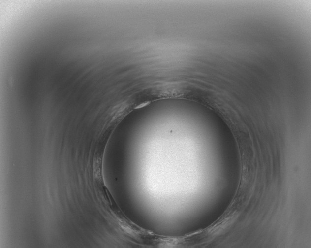 X0000059250096200510211640