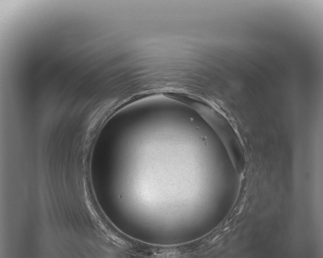 X0000059250097200510211640