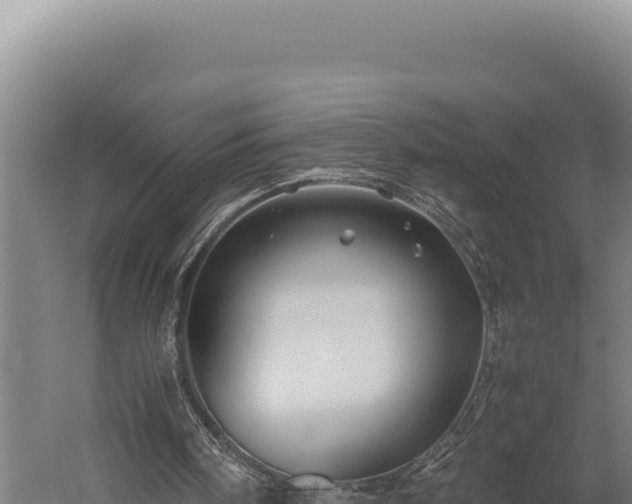 X0000059250098200510211640