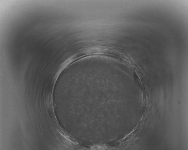 X0000059250099200510211640