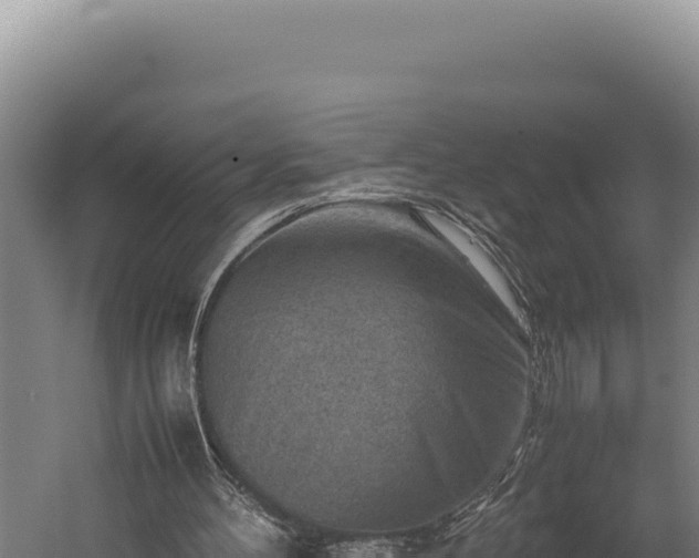 X0000059250100200510211639