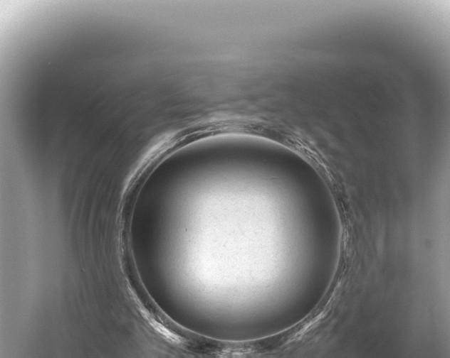 X0000059250101200510211639