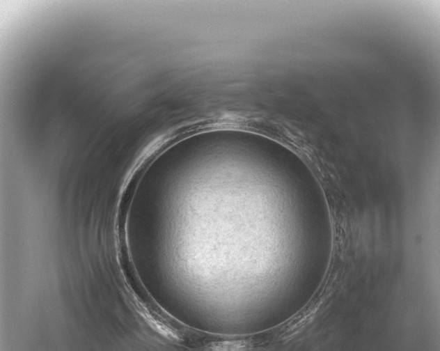 X0000059250102200510211639