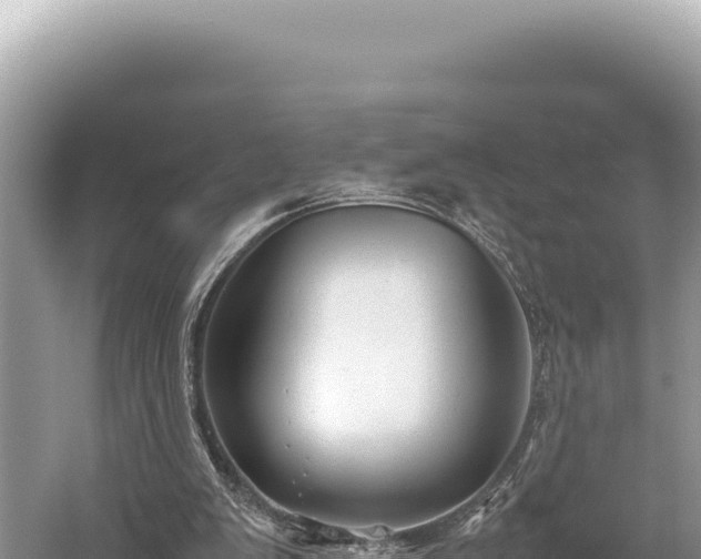 X0000059250103200510211639