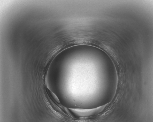 X0000059250105200510211639