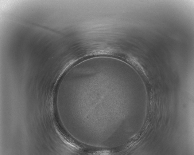 X0000059250108200510211639