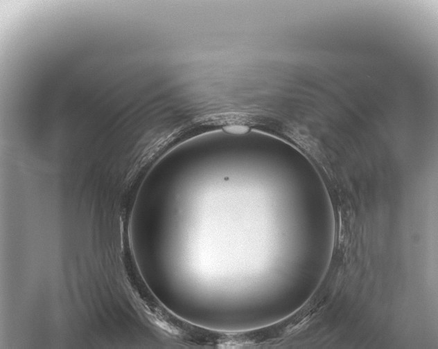 X0000059250109200510211639