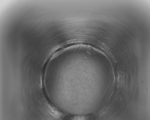 X0000059250110200510211639