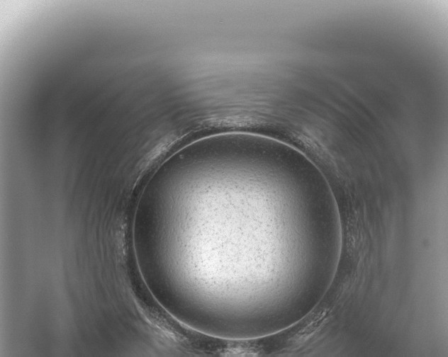 X0000059250111200510211639