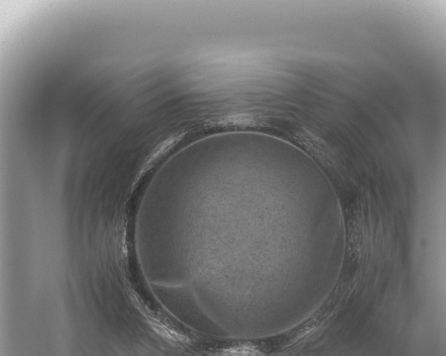 X0000059250112200510211639