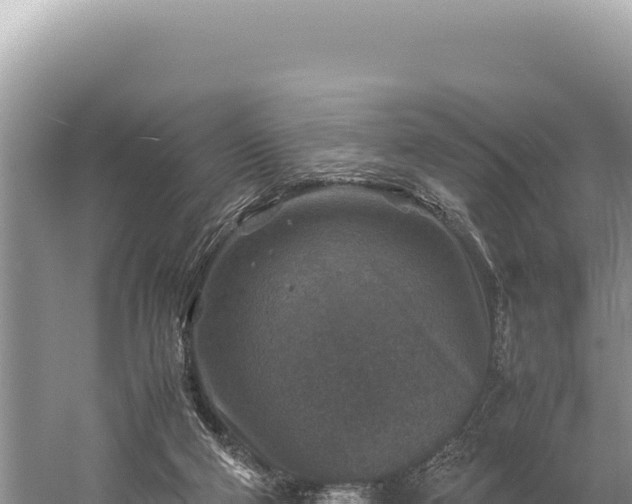 X0000059250114200510211639