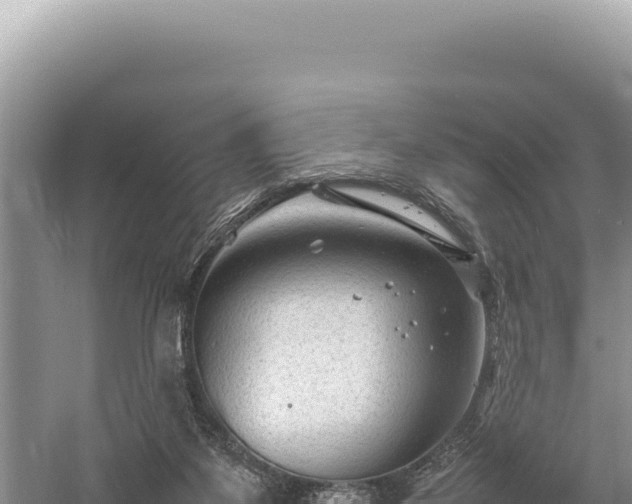 X0000059250115200510211639