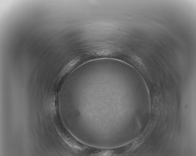 X0000059250116200510211639