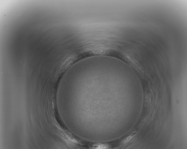 X0000059250117200510211639