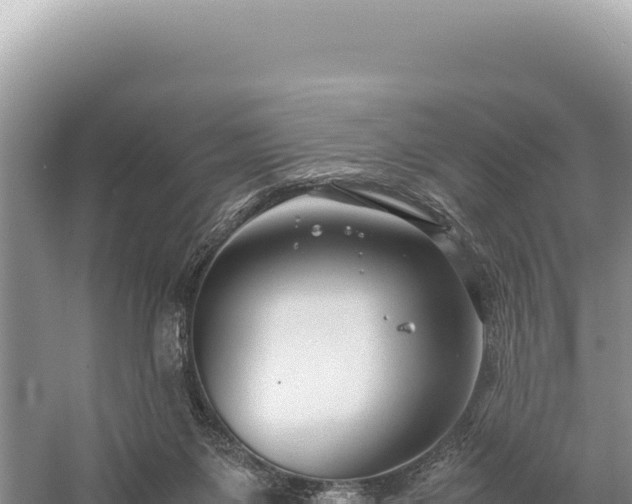 X0000059250119200510211639