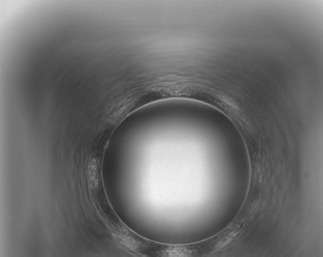 X0000059250121200510211639