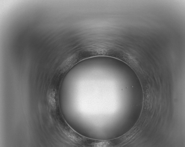 X0000059250122200510211639