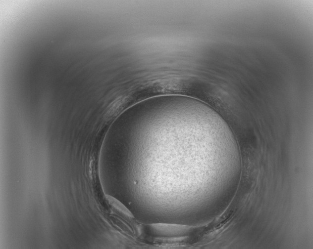 X0000059250123200510211639