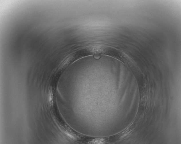 X0000059250124200510211639