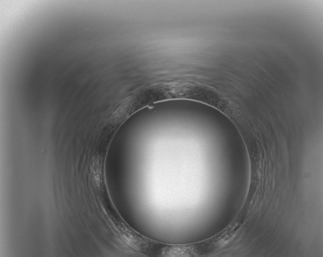 X0000059250129200510211639