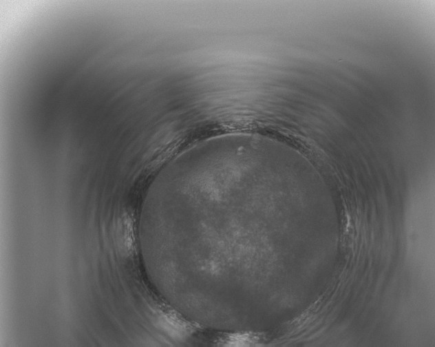 X0000059250130200510211639