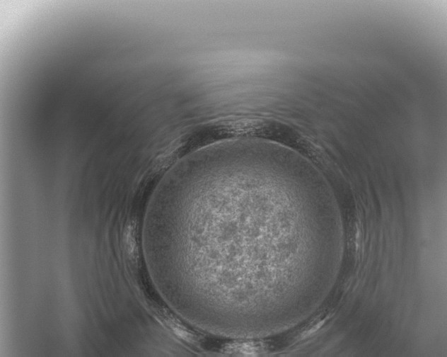 X0000059250131200510211639