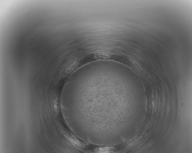 X0000059250134200510211639