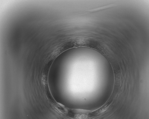 X0000059250135200510211639