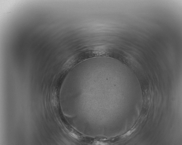 X0000059250136200510211639