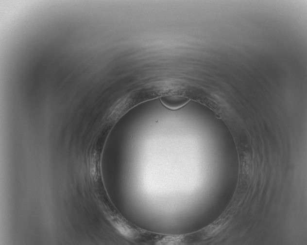 X0000059250138200510211639