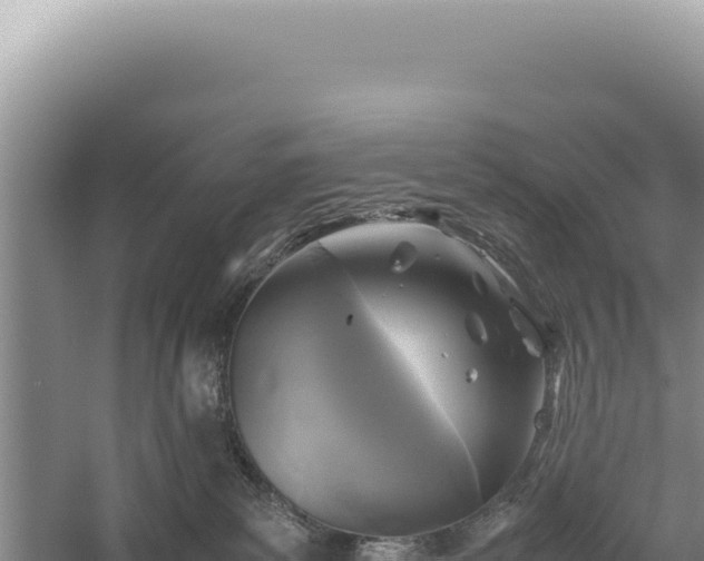 X0000059250139200510211639