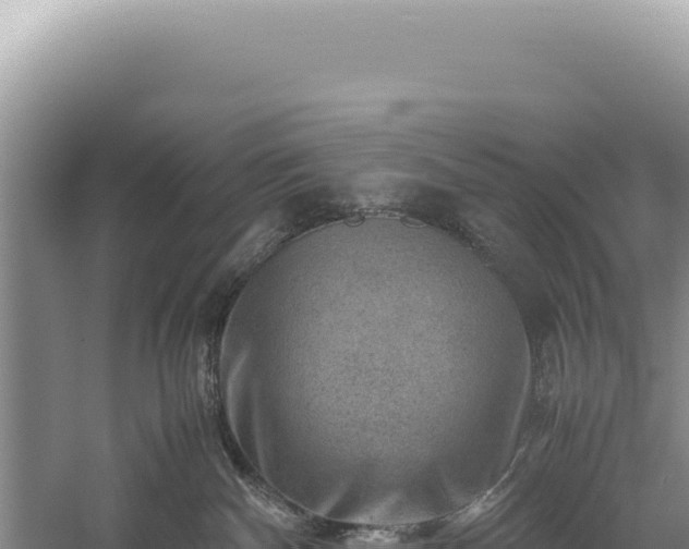 X0000059250140200510211639