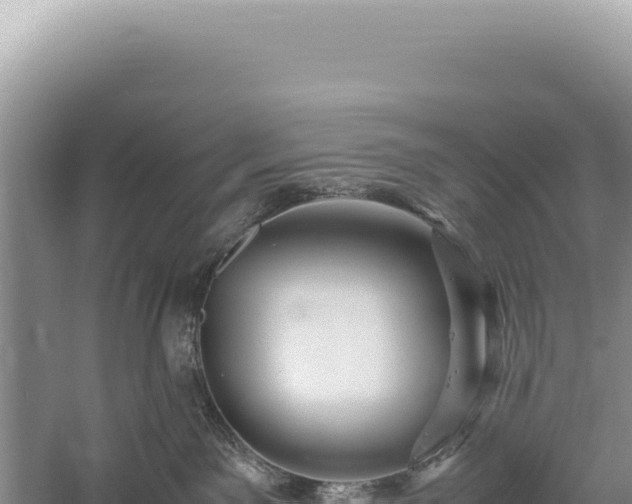 X0000059250141200510211639