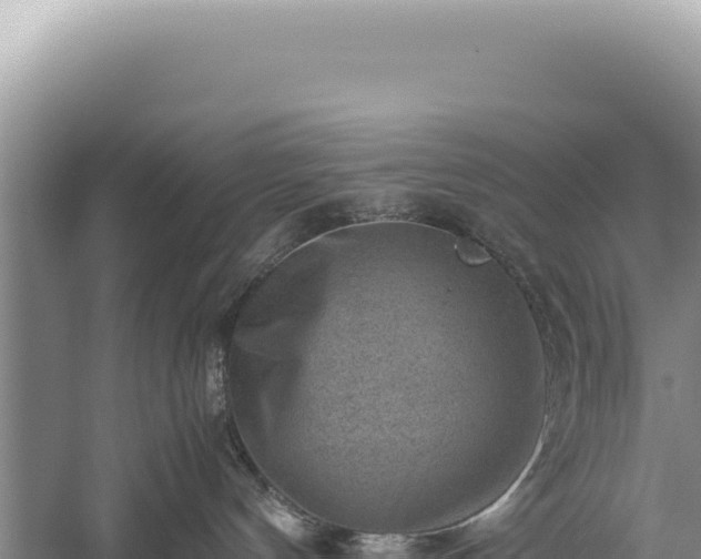 X0000059250144200510211638