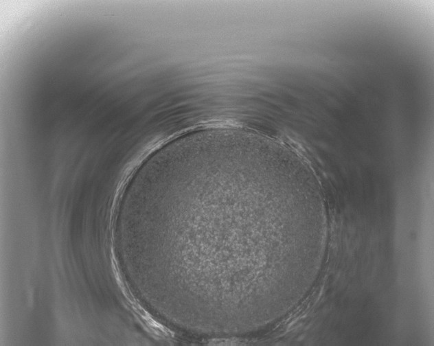 X0000059250145200510211638