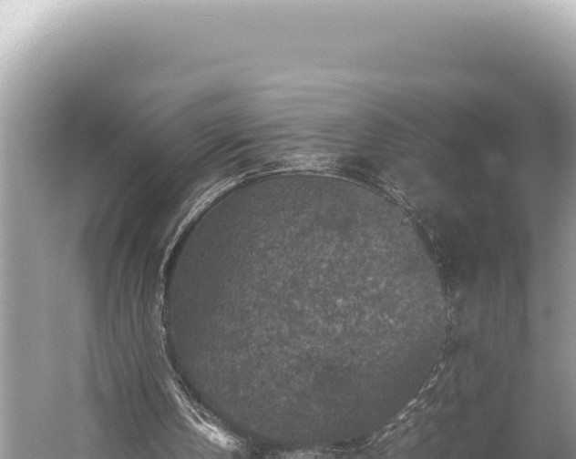 X0000059250146200510211638