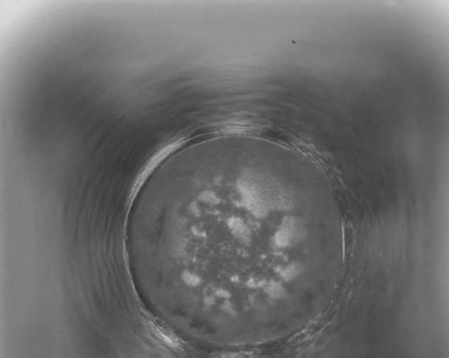 X0000059250147200510211638