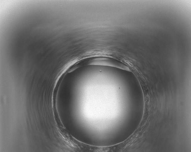 X0000059250148200510211638