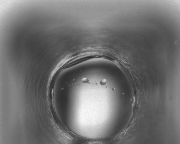 X0000059250150200510211638