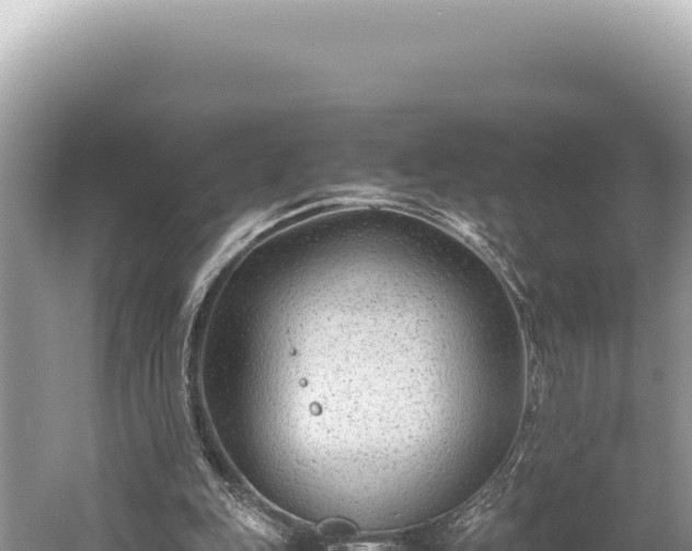 X0000059250151200510211638