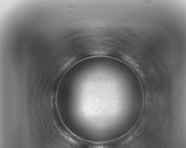 X0000059250153200510211638