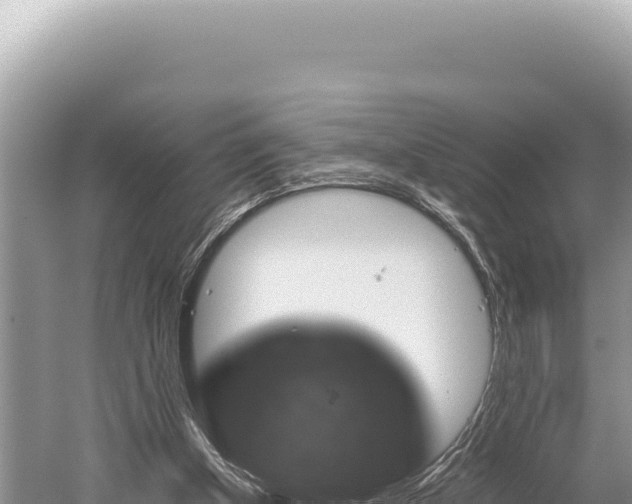 X0000059250154200510211638