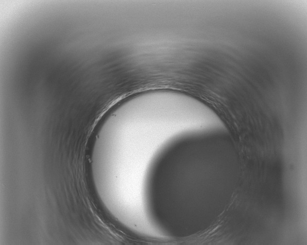 X0000059250156200510211638