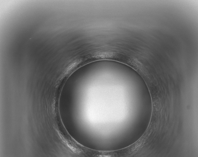 X0000059250159200510211638