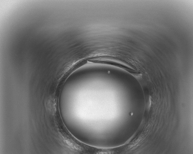 X0000059250160200510211638