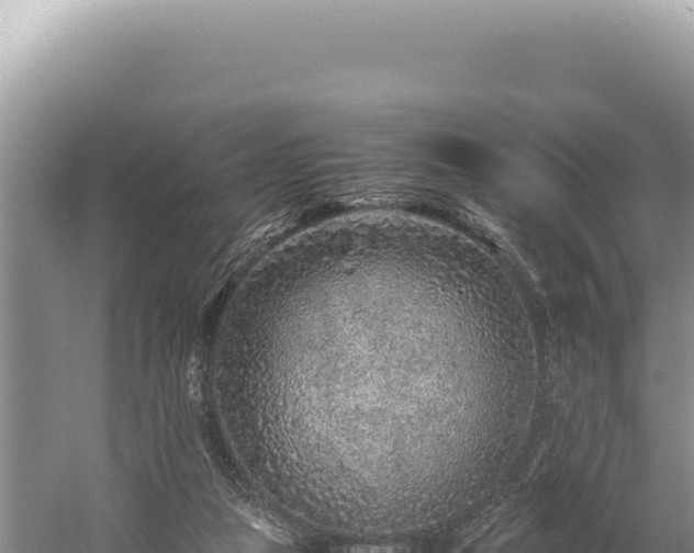 X0000059250161200510211638