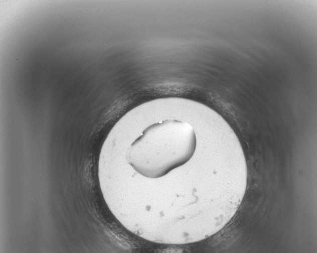 X0000059250162200510211638