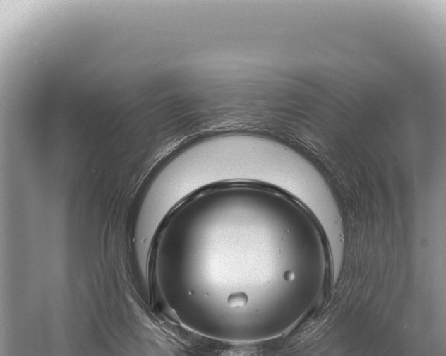 X0000059250164200510211638