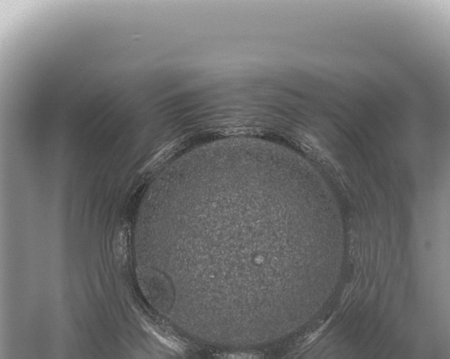 X0000059250165200510211638