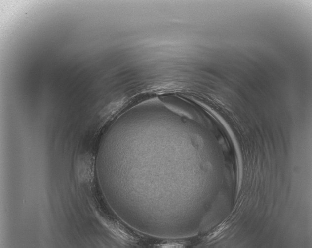 X0000059250168200510211638